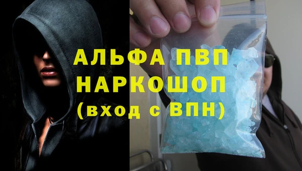 ПСИЛОЦИБИНОВЫЕ ГРИБЫ Бородино