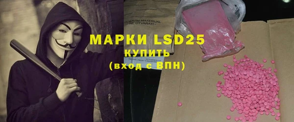 ПСИЛОЦИБИНОВЫЕ ГРИБЫ Бородино