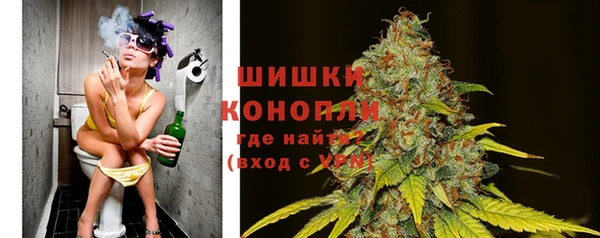 стаф Богородицк