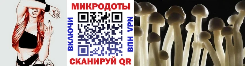 MEGA как зайти  Дагестанские Огни  Псилоцибиновые грибы мухоморы 