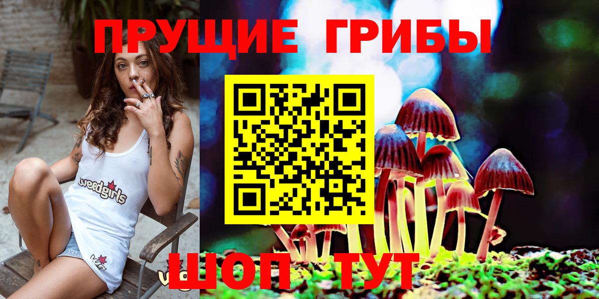 Галлюциногенные грибы Cubensis Дагестанские Огни
