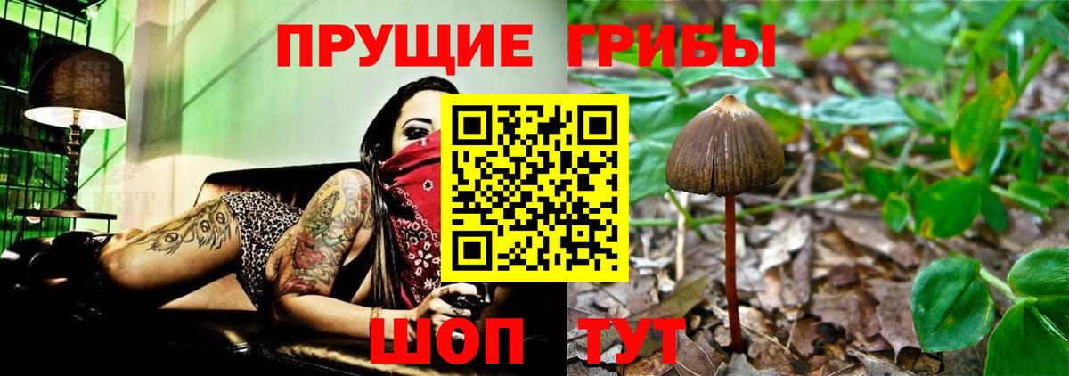Псилоцибиновые грибы мицелий  Вход с VPN  Дагестанские Огни 