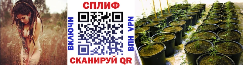 Бошки Шишки VHQ  Дагестанские Огни 